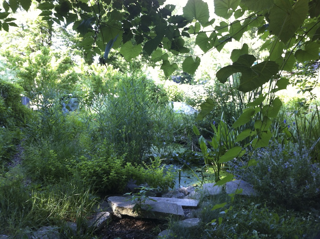 This Solstice morning, a quick shot of the GANG ( Green Acres Neighborhood Garden).