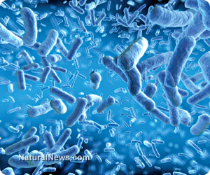 Bacteria-Blue