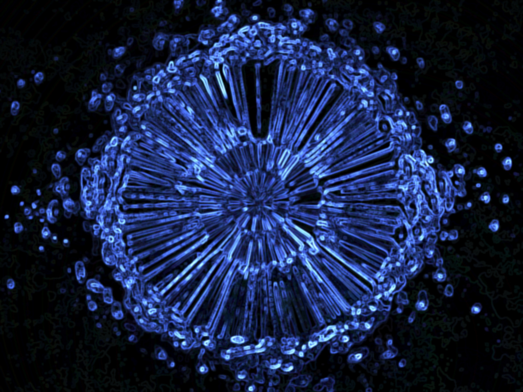 "Into the zero point field" www.people.tribe.net