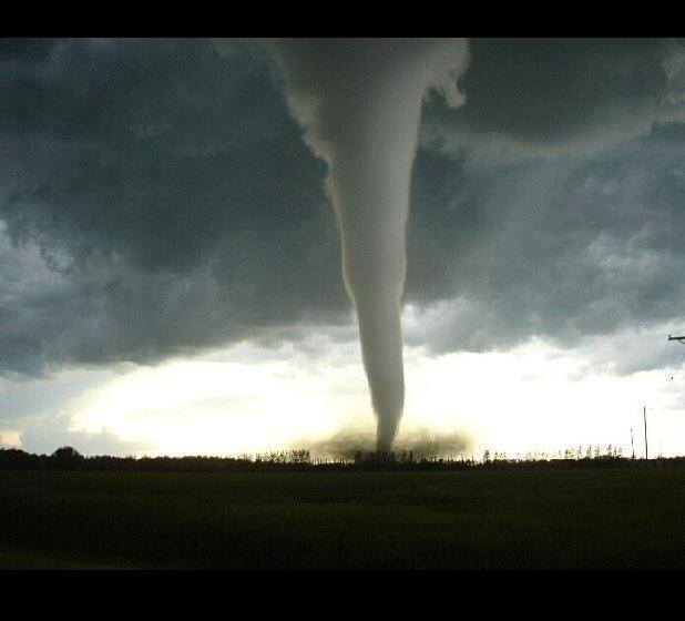 1469842_10152070012534289_1969337072_n