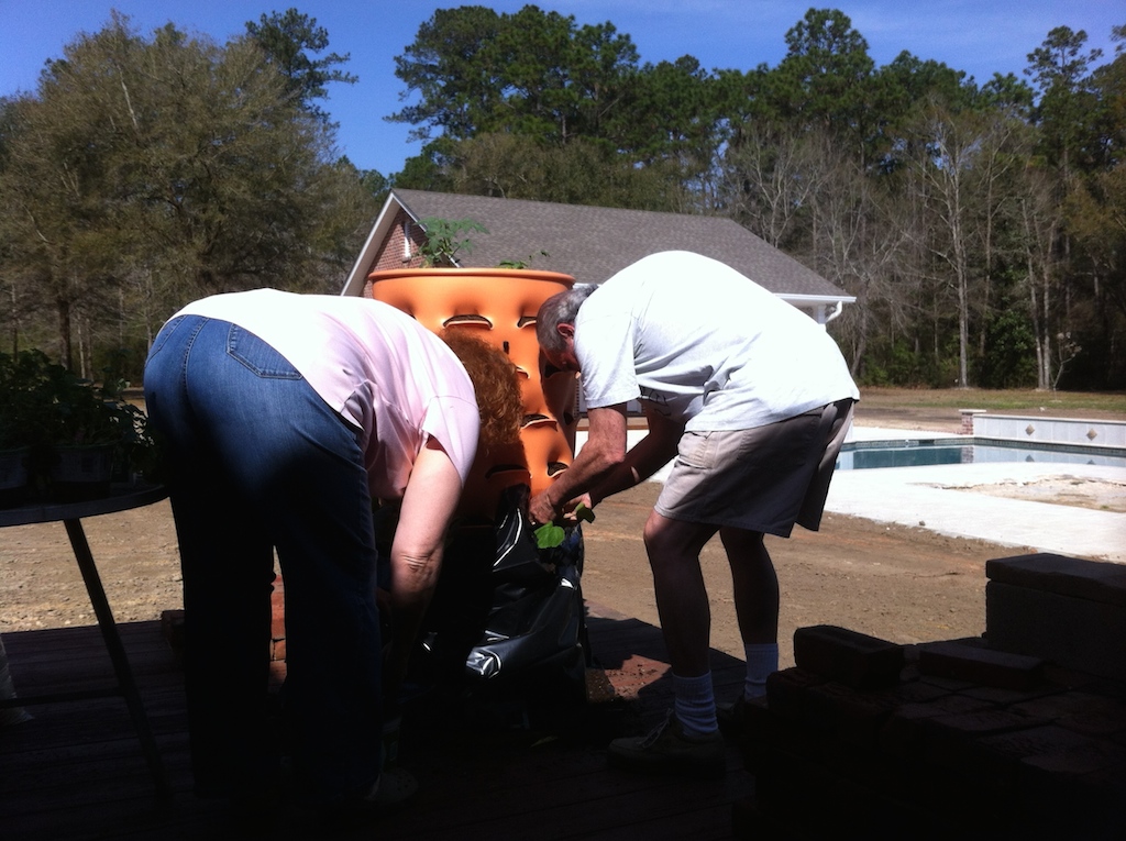 bottom planting