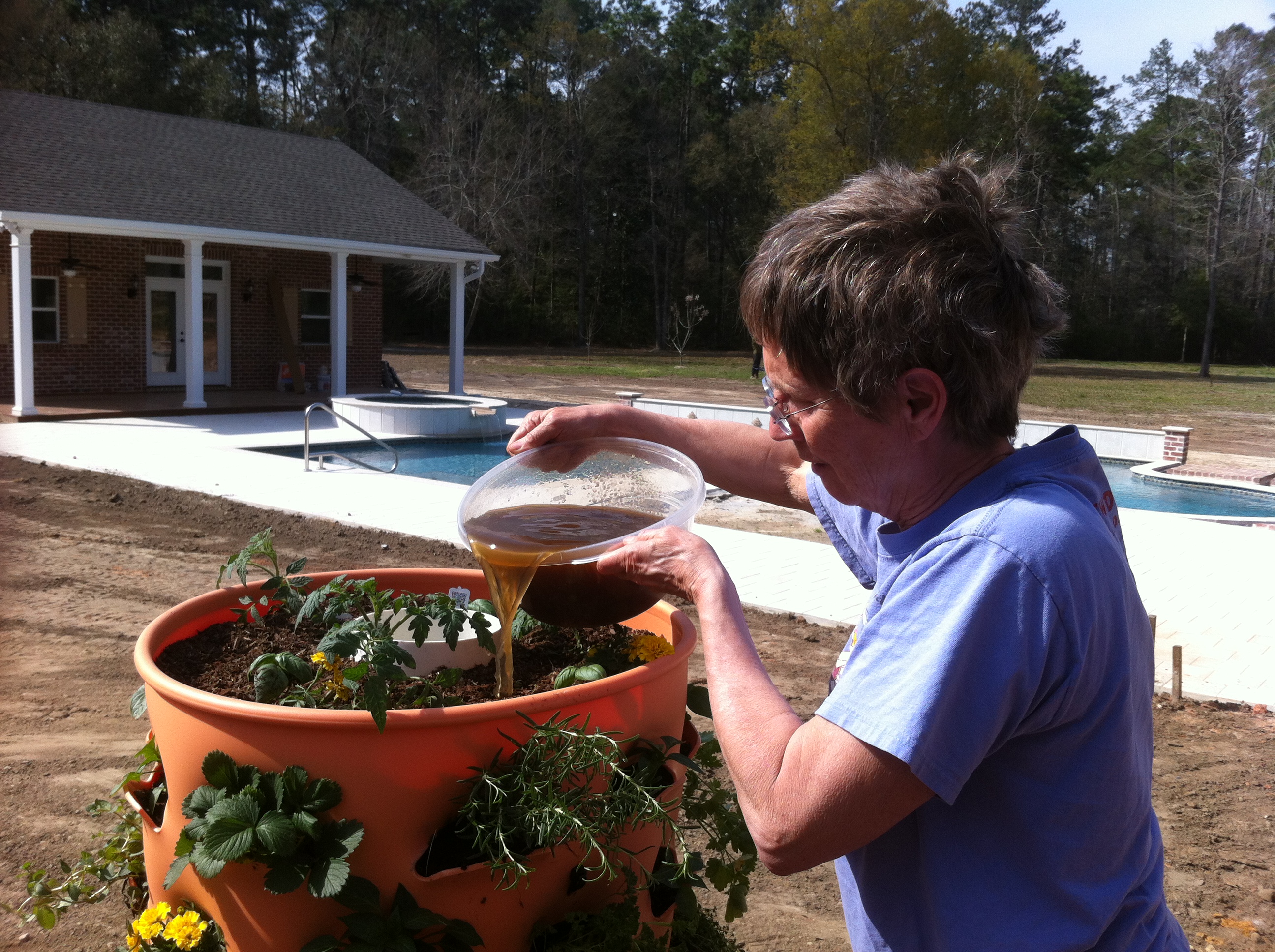 compost tea