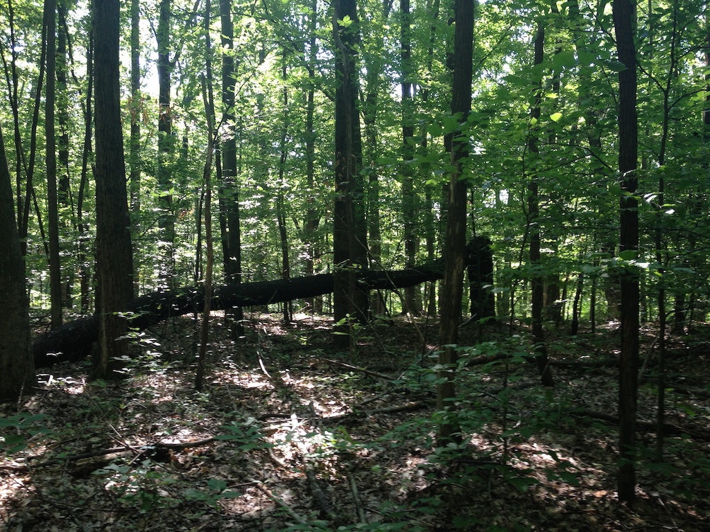 old, sagging into ground