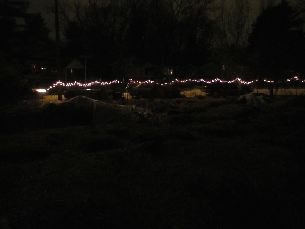 garden lights