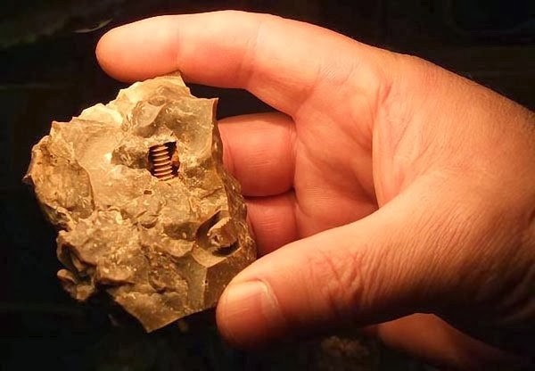 tornillo_300_millones_de_a_os3-600x416