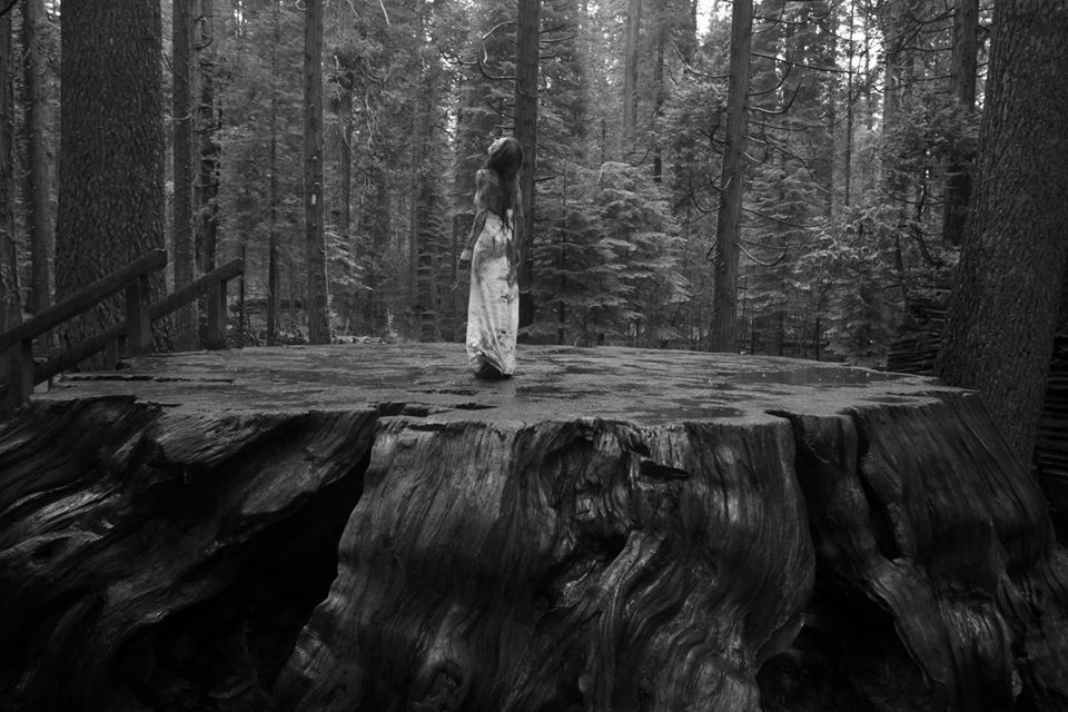 12027650_1007515152626658_3437383565222258915_n