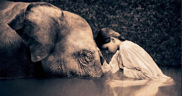 QualitiesOfLove-Compassion