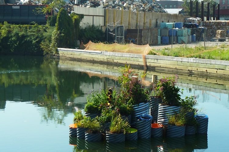 gowanus-canal-growonus-Balmori-Associates-released
