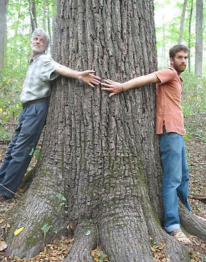 Andy Mahler and Paul Nord, circling a mother tree in one of the two old growth forests that remain in In-Diana. (Photo: Herald-Times.)