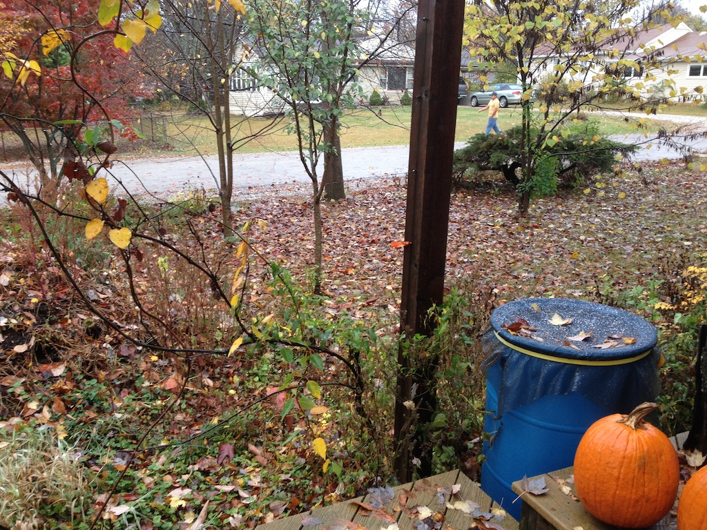 yard