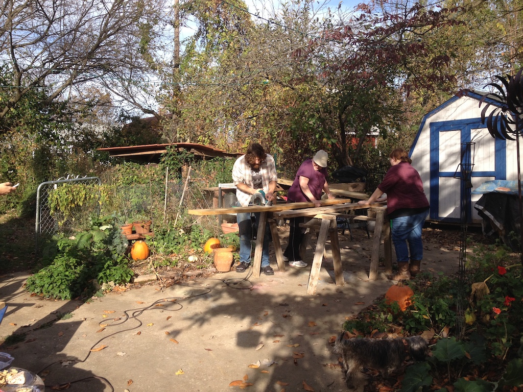 back yard.2.