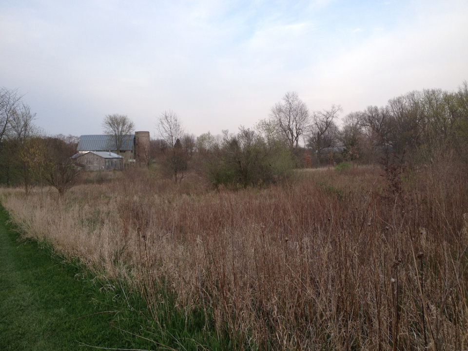 barn-in-distance