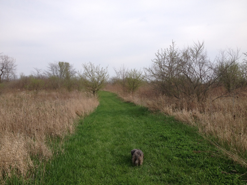 shadow-walk-2