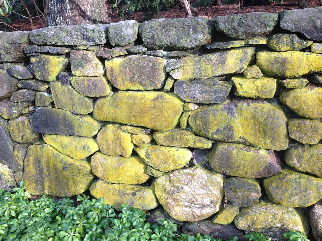 moss wall