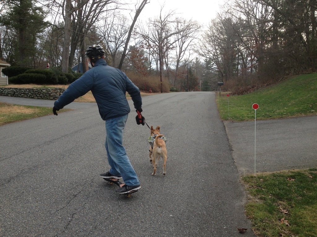 ripstick.3