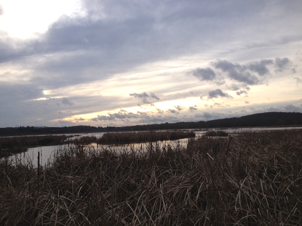 scenic