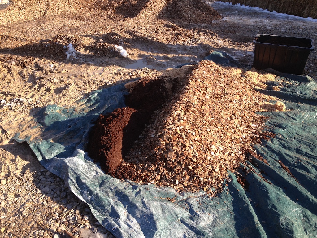 compost:wood chips unmixed