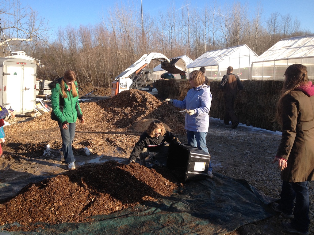 putting it in container