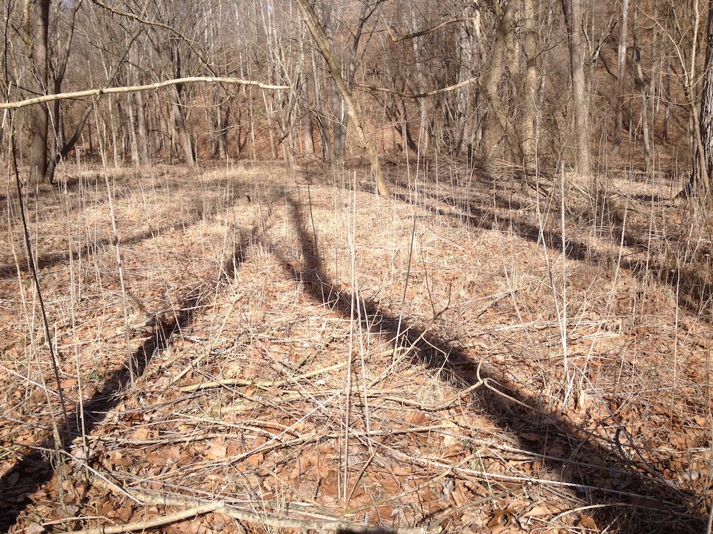 sticks 'n leaves