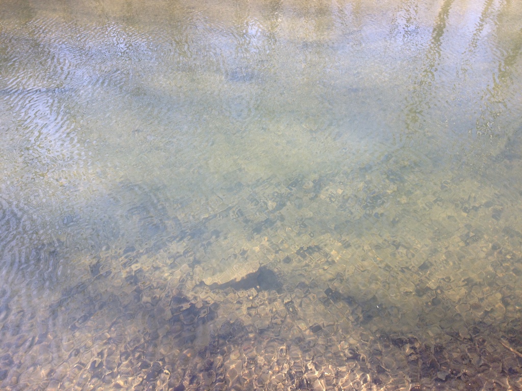 water