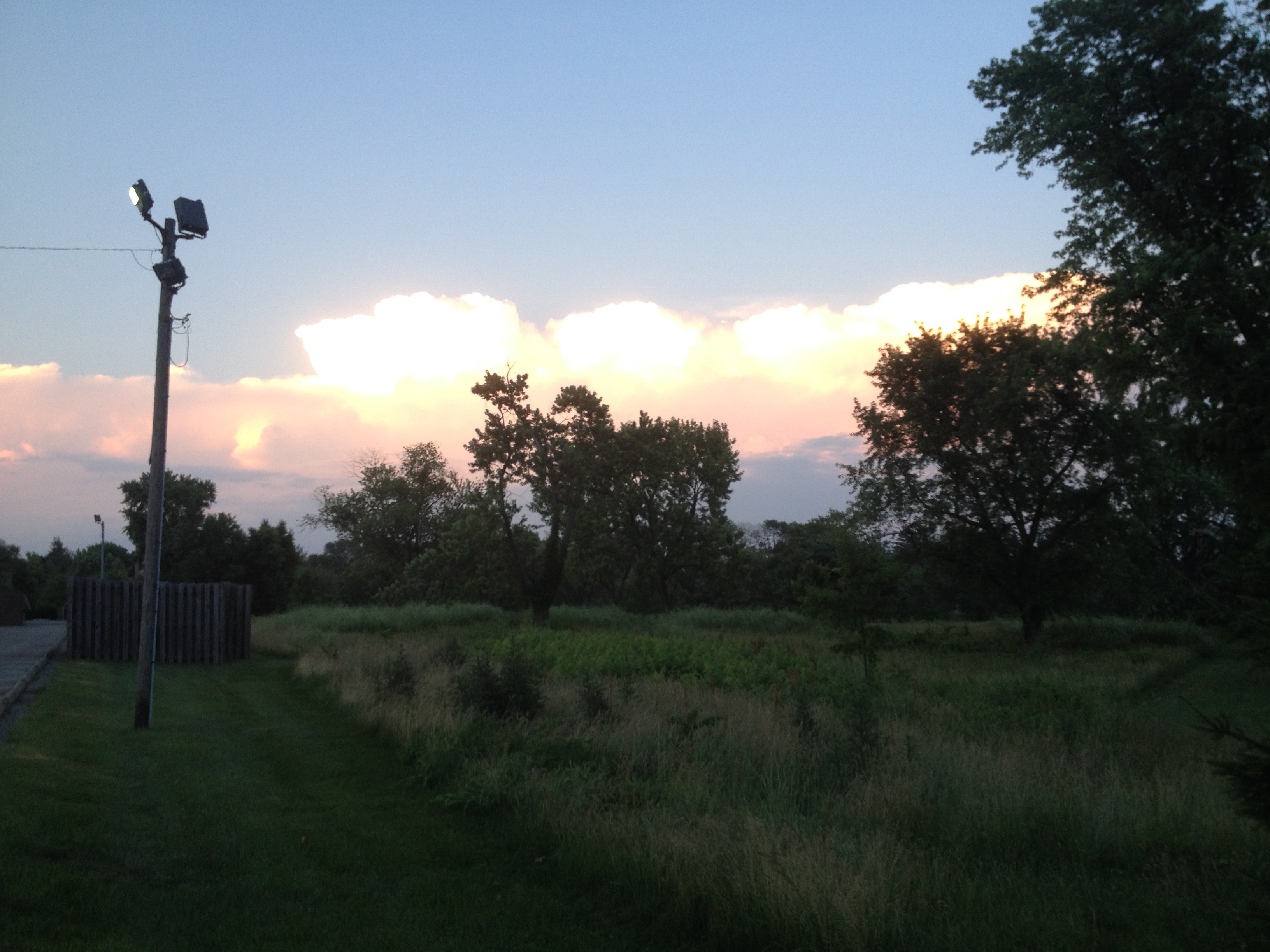 photo light with artificial light