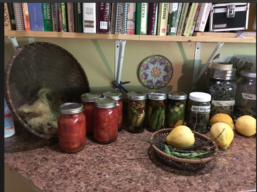 Screen Shot 2016-08-30 at 10.32.19 AM