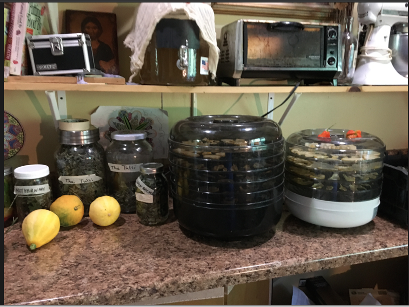 Screen Shot 2016-08-30 at 10.32.46 AM