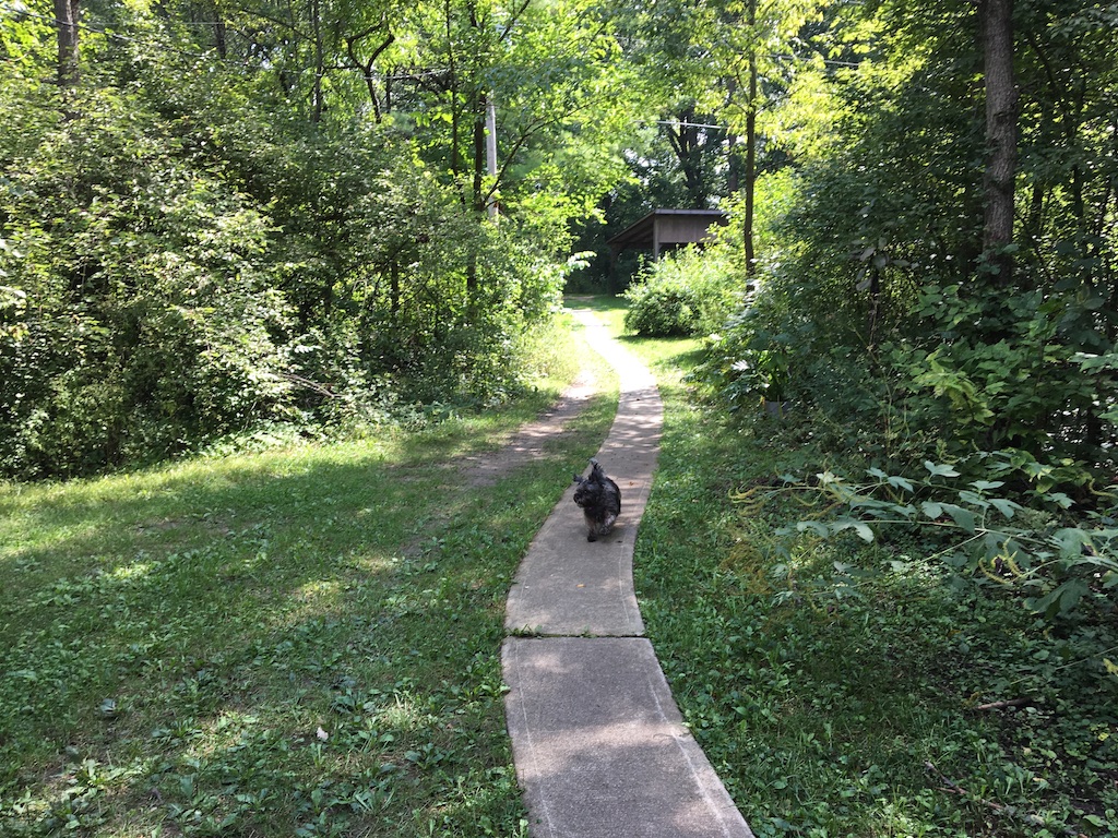 Shadow on walk