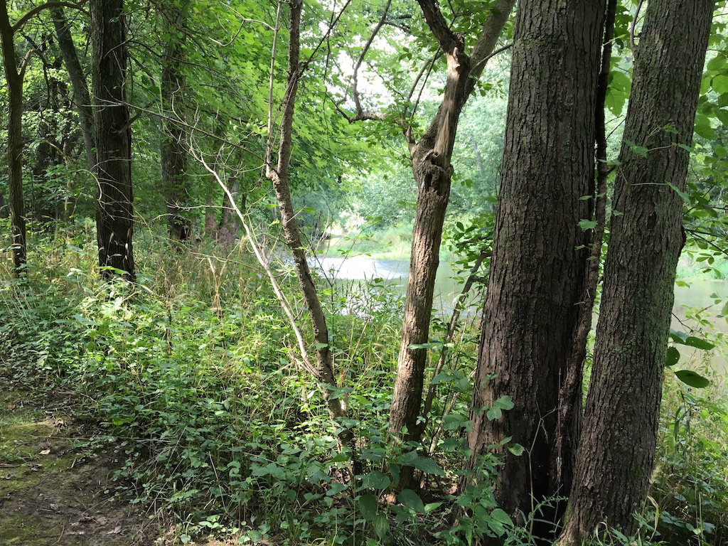 river