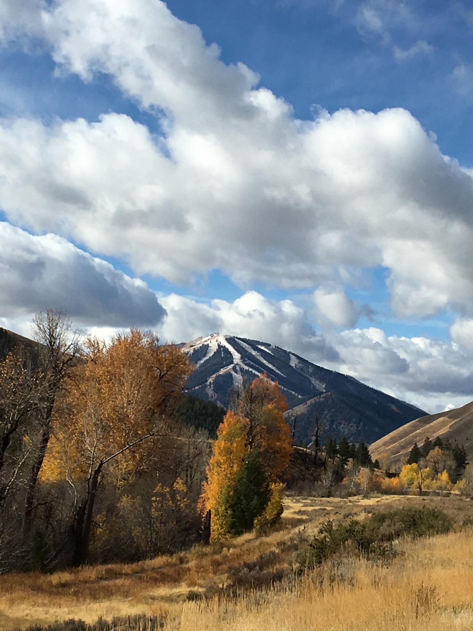 bald-mtn-from-trail-creek