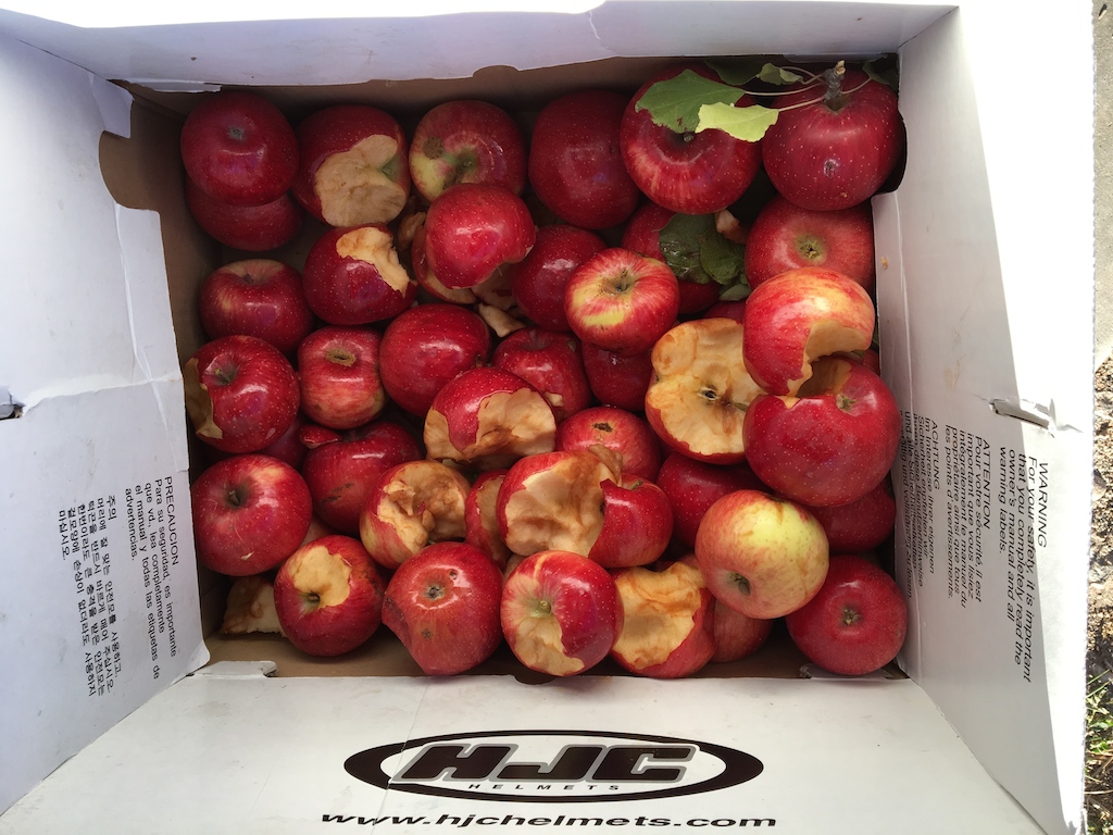 apples-in-box