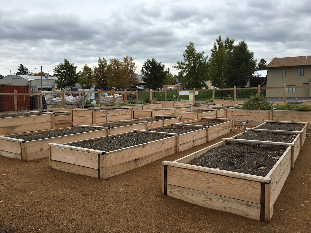 community-garden-beds