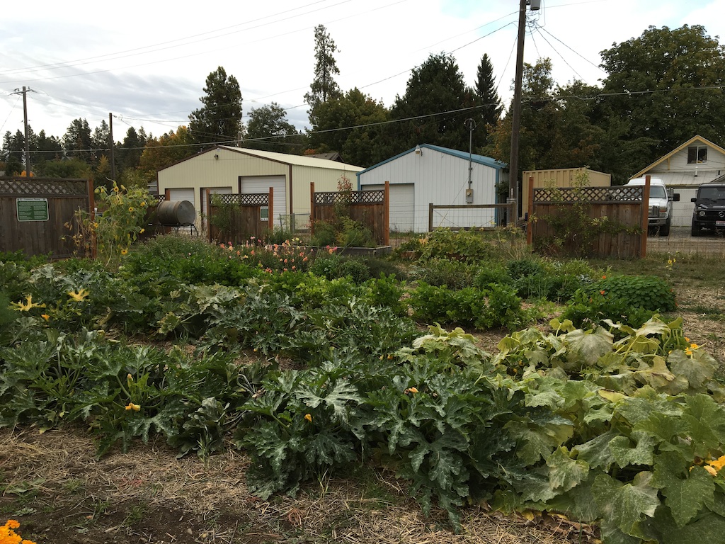 garden-shot-1-coerur-dalene