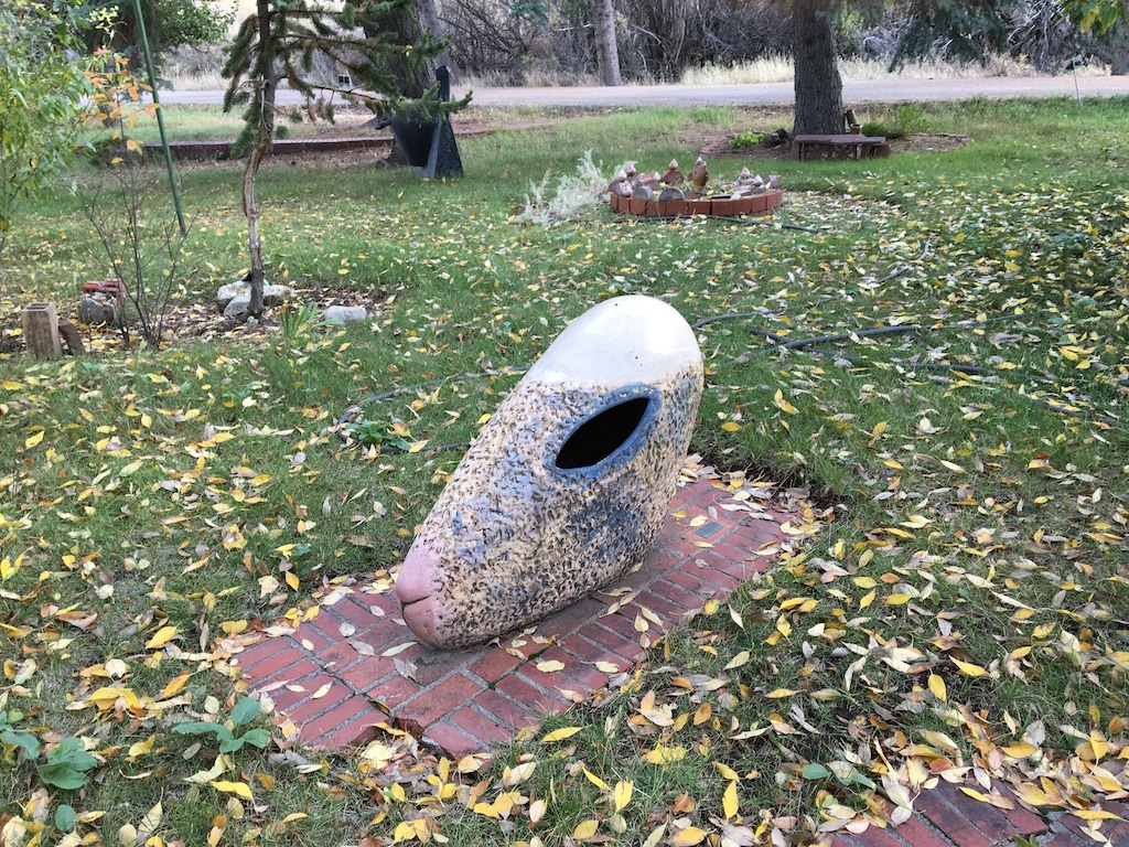 sheep-head