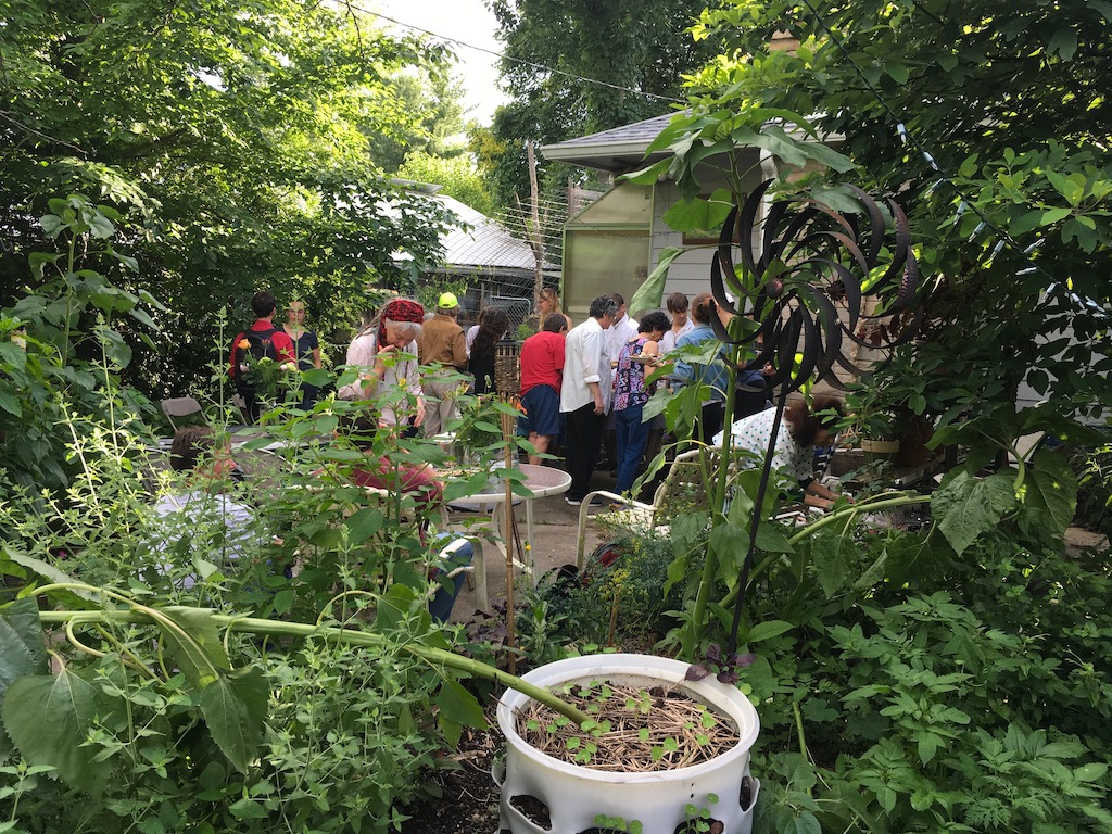 Notice the horizontal stalk in the white planter. That's trying to be a sunflower plant, bent by the rain. Rebecca tells me it will straighten itself up.