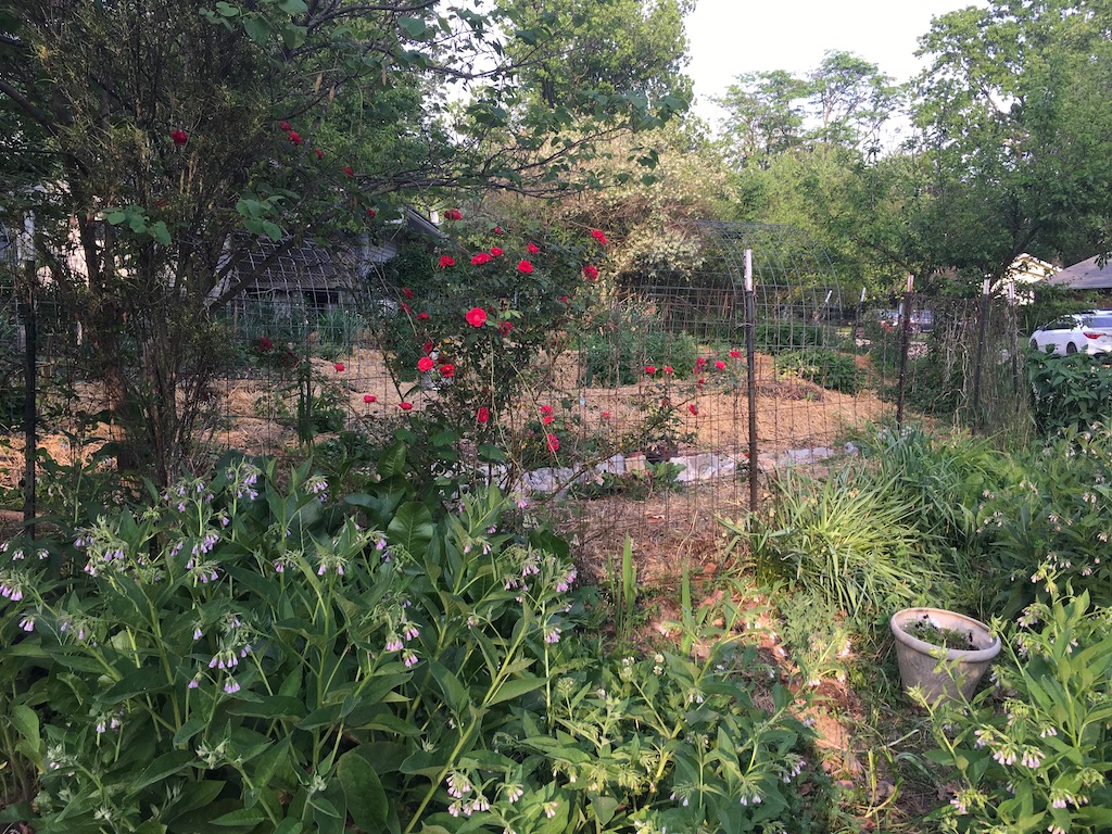 GREEN ACRES VILLAGE: We Prepare for the Return of Community Dinners!