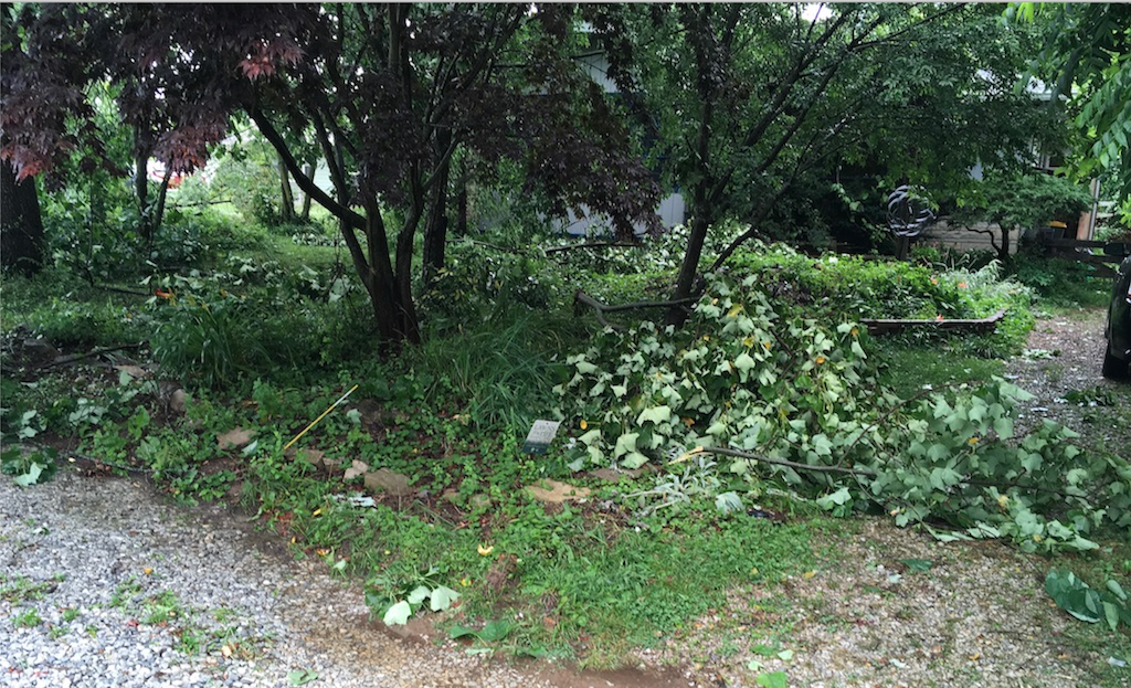 Green Acres Village: Major extended thunderstorm storm last night . . .