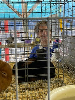 I visit the Monroe County Fair and Rodeo